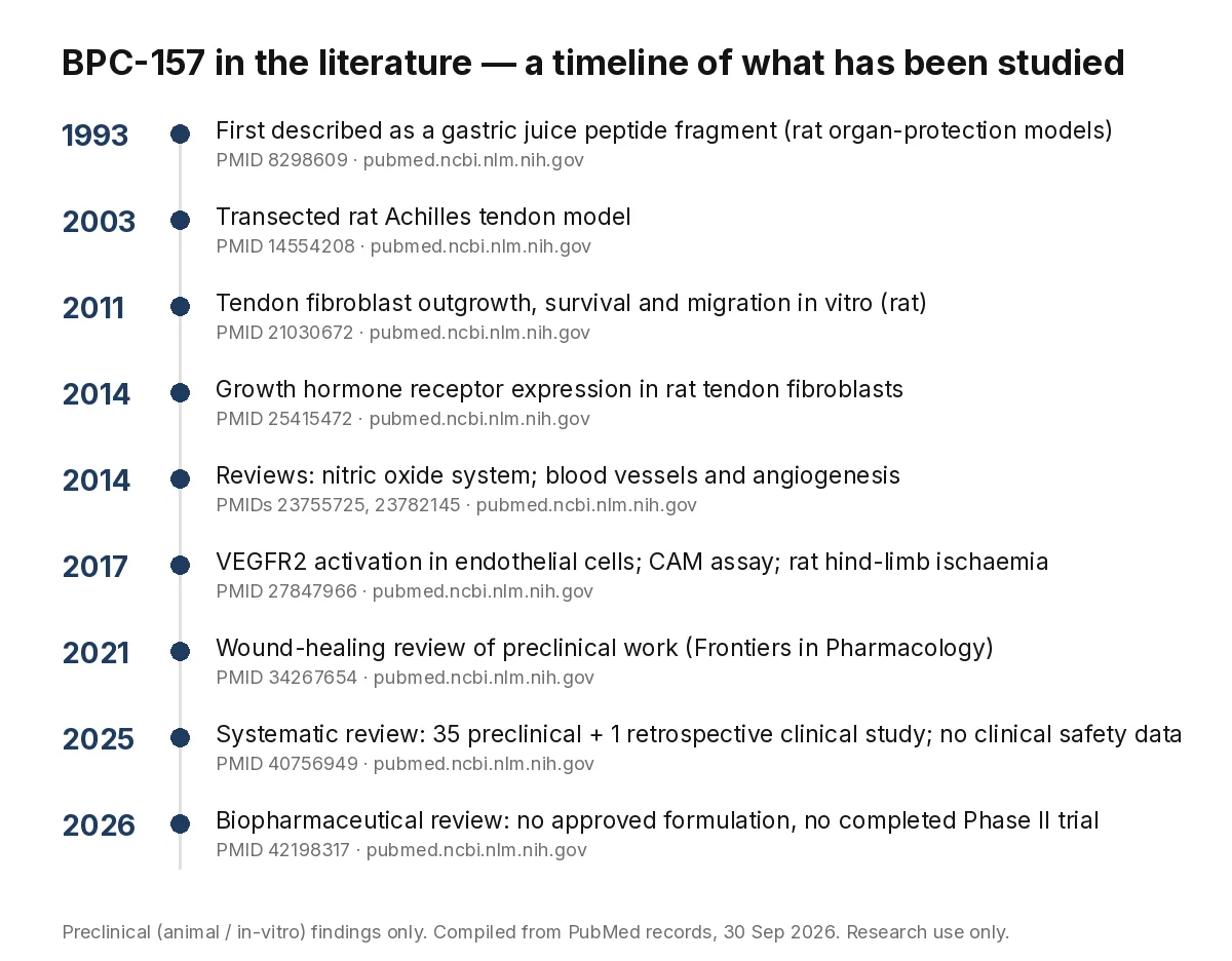 BPC-157 Canada — 5mg & 10mg Research Peptide 10 Timeline of BPC-157 preclinical research from 1993 to 2026 with PubMed IDs