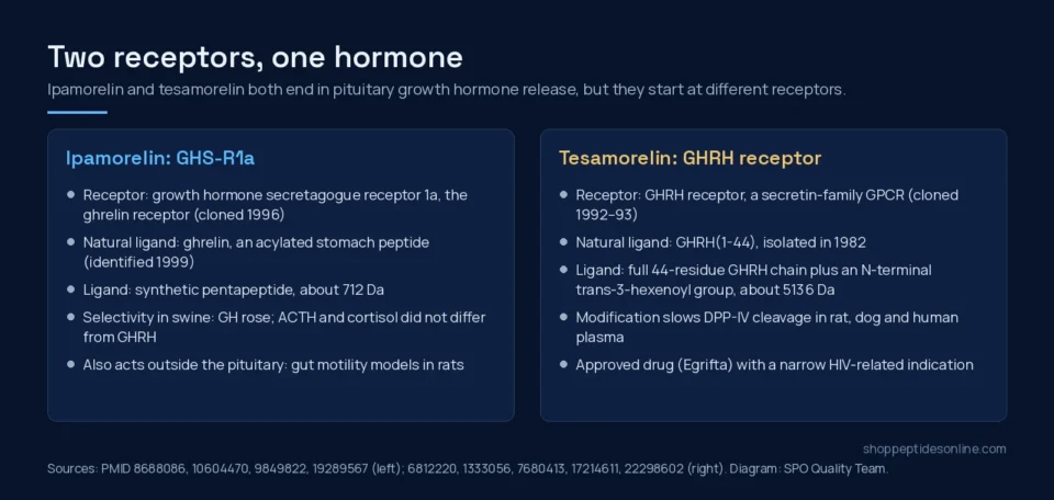 Diagram comparing the ghrelin receptor pathway used by ipamorelin with the GHRH receptor pathway used by tesamorelin