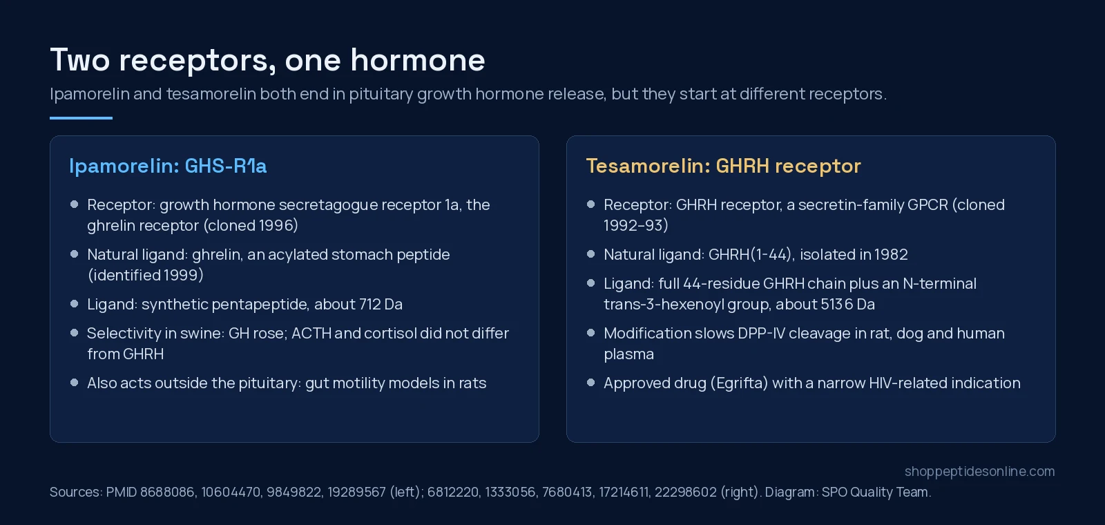 Diagram comparing the ghrelin receptor pathway used by ipamorelin with the GHRH receptor pathway used by tesamorelin