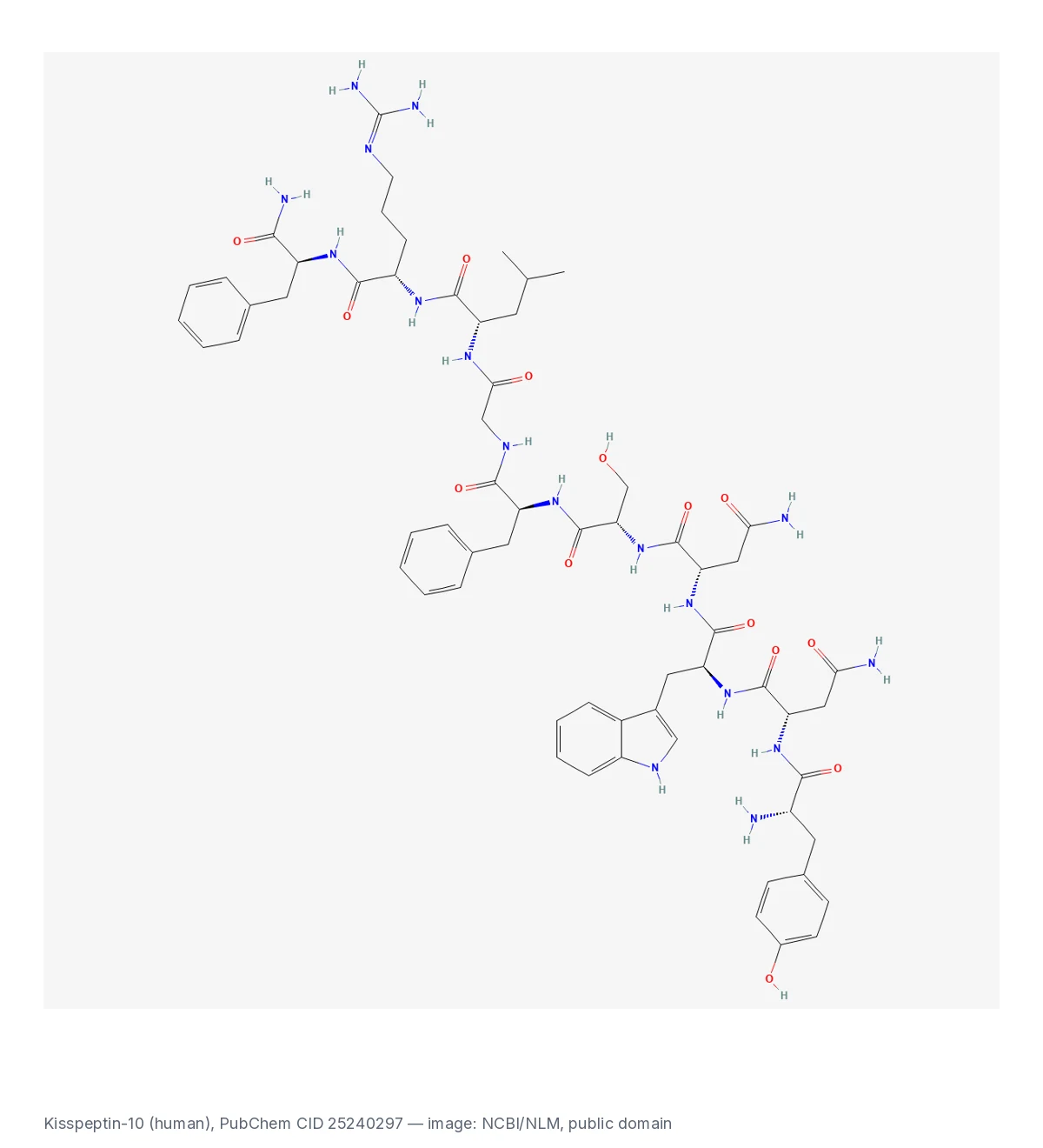 2D chemical structure of human kisspeptin-10 (Tyr-Asn-Trp-Asn-Ser-Phe-Gly-Leu-Arg-Phe-NH2), PubChem CID 25240297