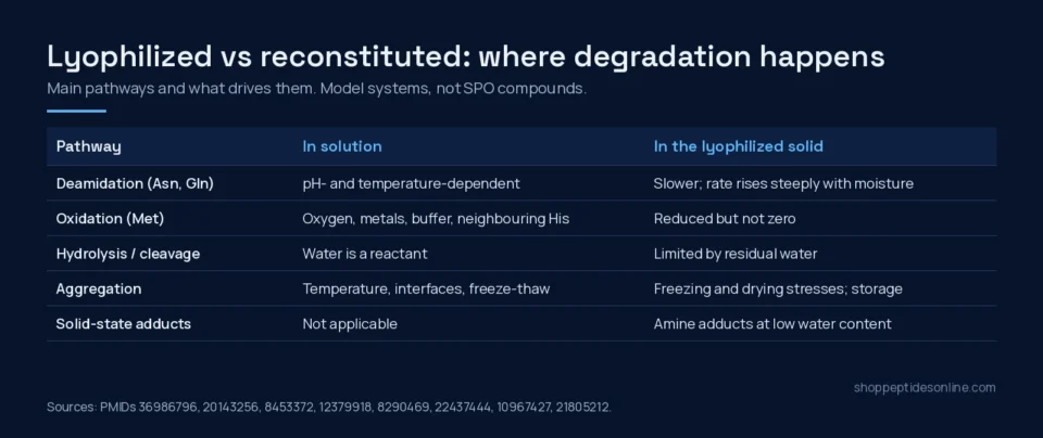 Table comparing peptide degradation pathways in solution and in the lyophilized solid: deamidation, oxidation, hydrolysis, aggregation and solid-state adducts