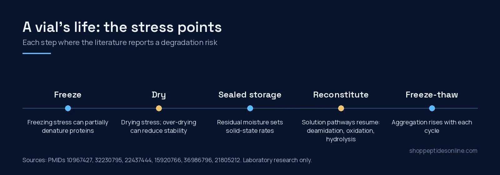 Timeline of a peptide vial's stress points: freezing, drying, sealed storage, reconstitution and freeze-thaw