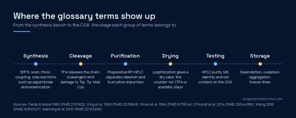 Peptide Research Glossary: 60 Terms From COAs to Receptors