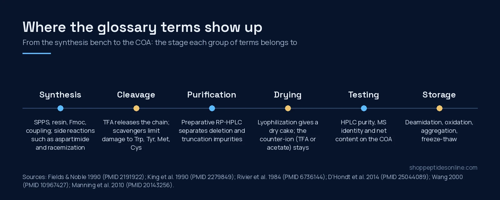 Peptide Research Glossary: 60 Terms From COAs to Receptors 2 Diagram of six stages from peptide synthesis to storage with the glossary terms that belong to each stage