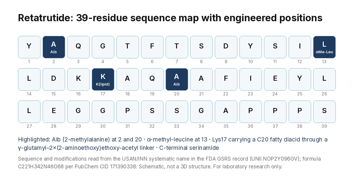 Retatrutide 39-residue sequence map highlighting Aib at positions 2 and 20, alpha-methyl-leucine at 13 and the lipidated lysine at 17