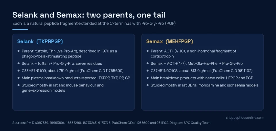 Diagram comparing the parent peptides and sequences of Selank and Semax