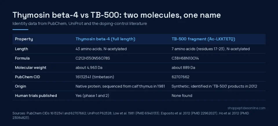 Comparison table of thymosin beta-4 and the TB-500 fragment: length, formula, molecular weight, PubChem CID, origin and human trials