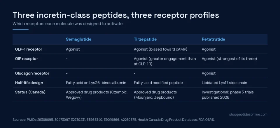 Table comparing semaglutide, tirzepatide and retatrutide by GLP-1, GIP and glucagon receptor activity, half-life design and Canadian status