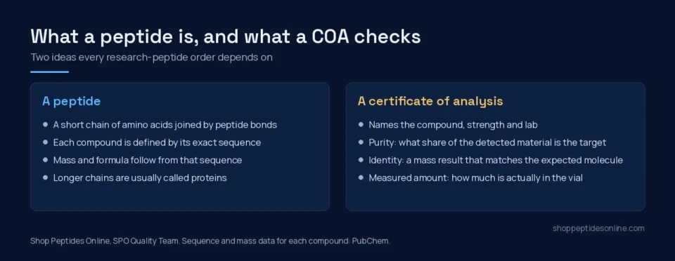 What Are Peptides? A Research-Use Guide to Identity and COAs