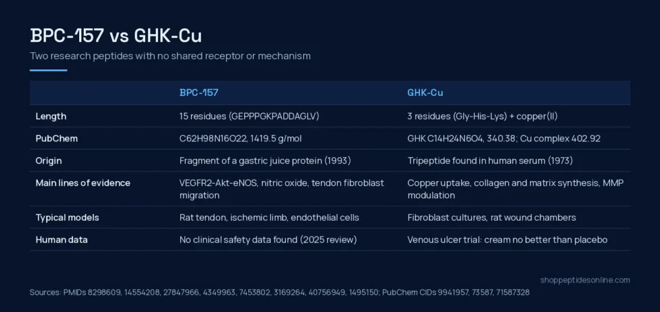BPC-157 vs GHK-Cu: Two Repair Peptides, Two Different Mechanisms