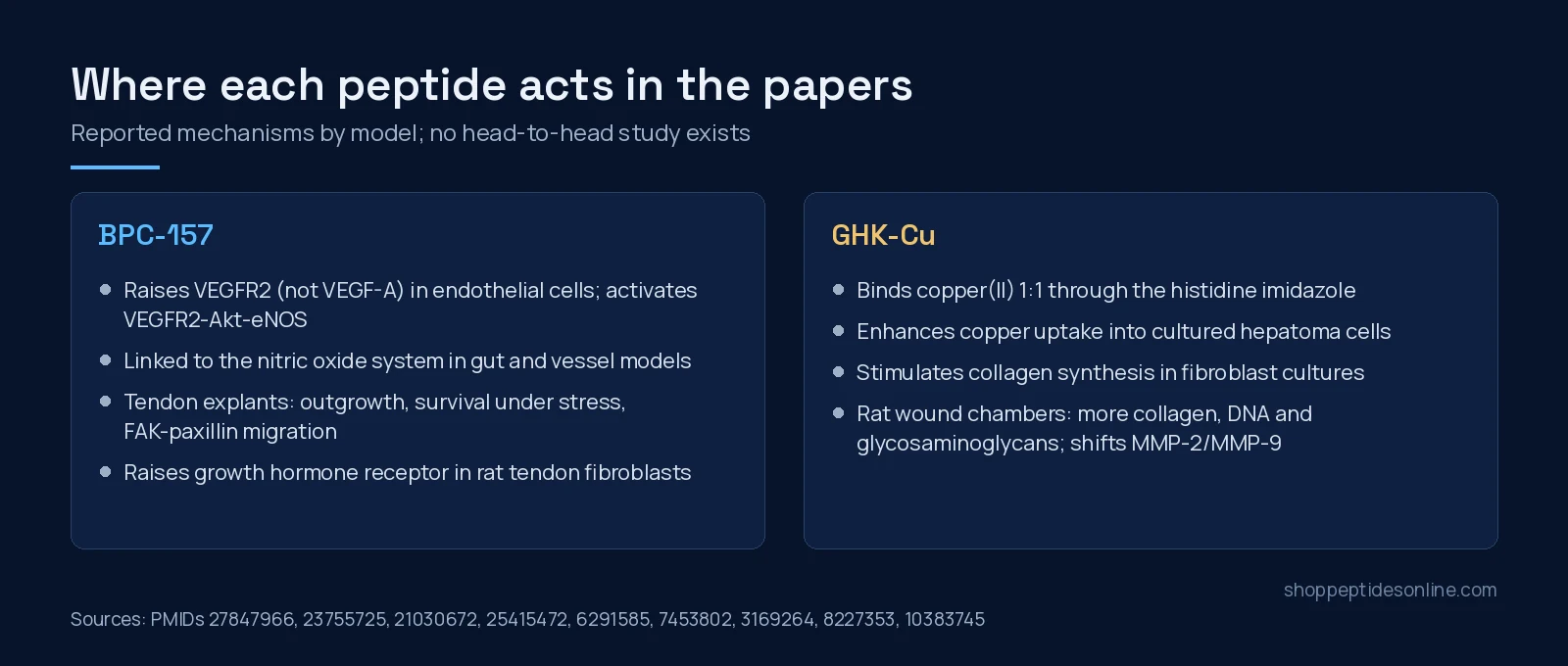 Two-panel diagram of reported mechanisms: BPC-157 with VEGFR2, nitric oxide and tendon fibroblasts; GHK-Cu with copper binding, collagen synthesis and MMP changes