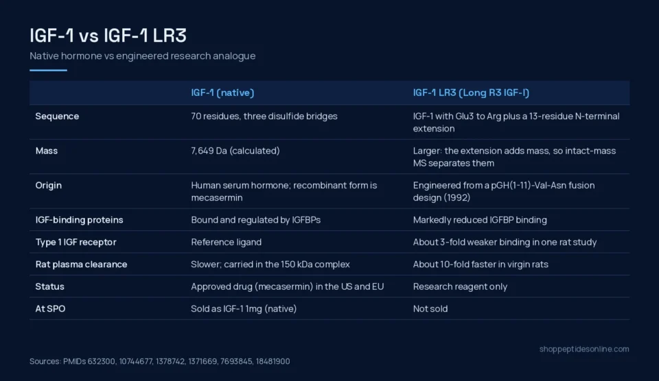 IGF-1 vs IGF-1 LR3: Native Hormone vs Long R3 Analogue