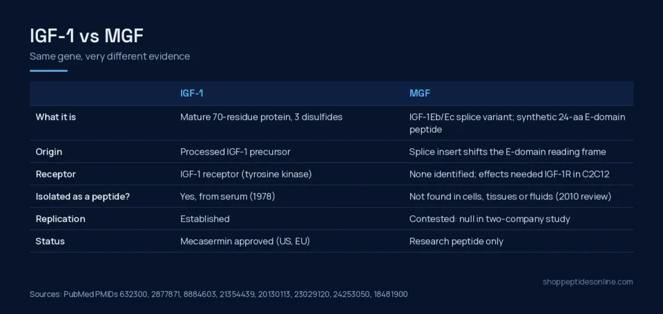Comparison table of IGF-1 and MGF: identity, origin, receptor, isolation as a peptide, replication status and regulatory status