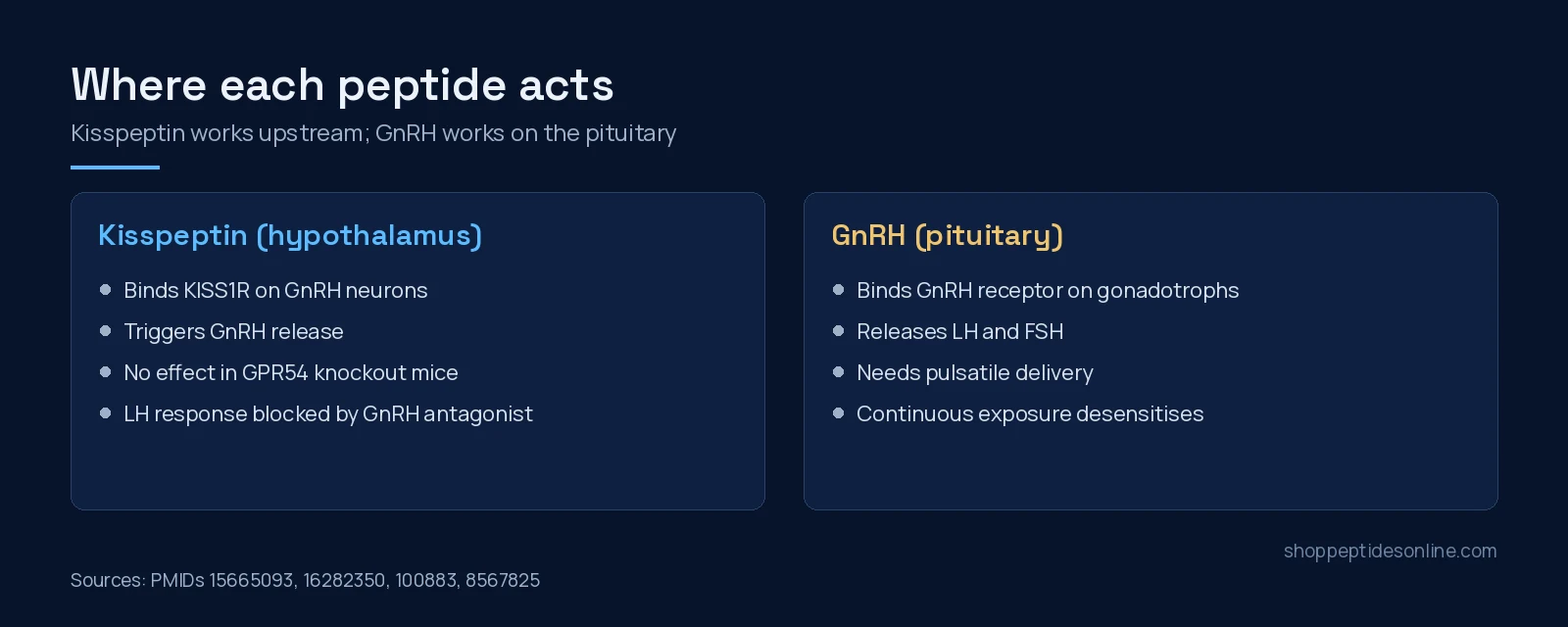 Kisspeptin vs GnRH: Two Steps on the Reproductive Axis 3 Two-panel diagram: kisspeptin acts on KISS1R on hypothalamic GnRH neurons; GnRH acts on pituitary gonadotrophs and needs pulsatile delivery