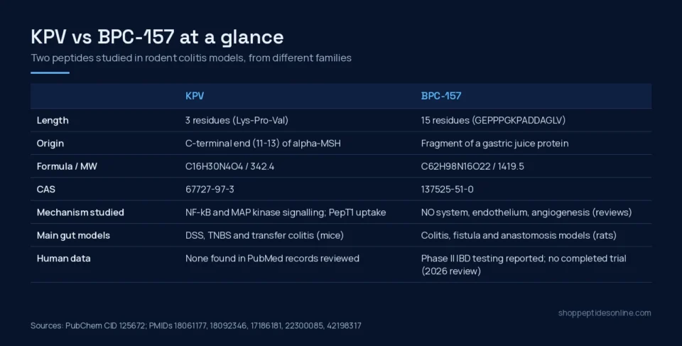 Comparison table of KPV and BPC-157: length, origin, formula, CAS, mechanisms studied, gut models and human data