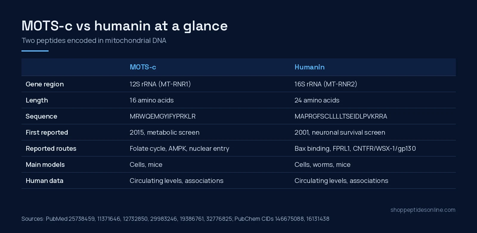Comparison table of MOTS-c and humanin: gene region, length, sequence, discovery, reported pathways, models and human data