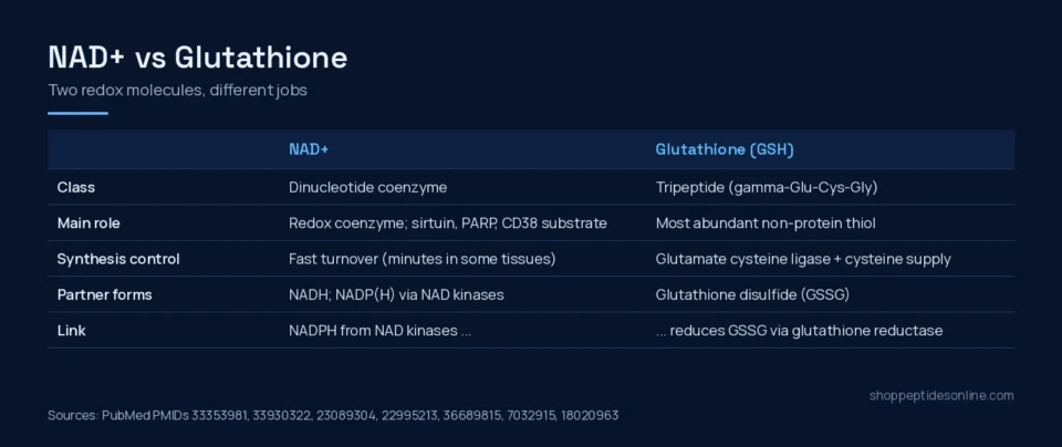 Comparison table of NAD+ and glutathione: chemical class, main role, synthesis control, partner forms and the NADPH link