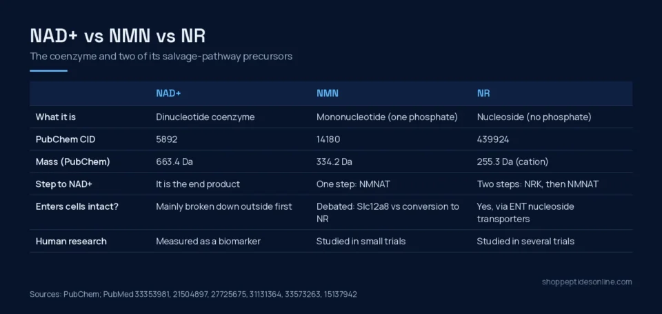 NAD+ vs NMN vs NR: The NAD+ Precursors in Research