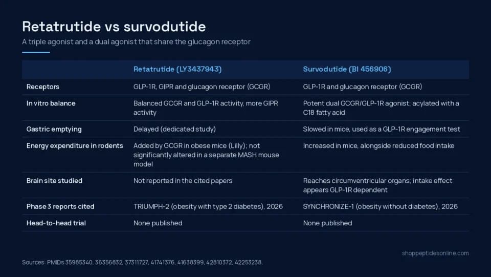 Comparison table of retatrutide and survodutide: receptor targets, in vitro profile, gastric emptying, rodent energy expenditure, brain site, phase 3 reports and head-to-head status