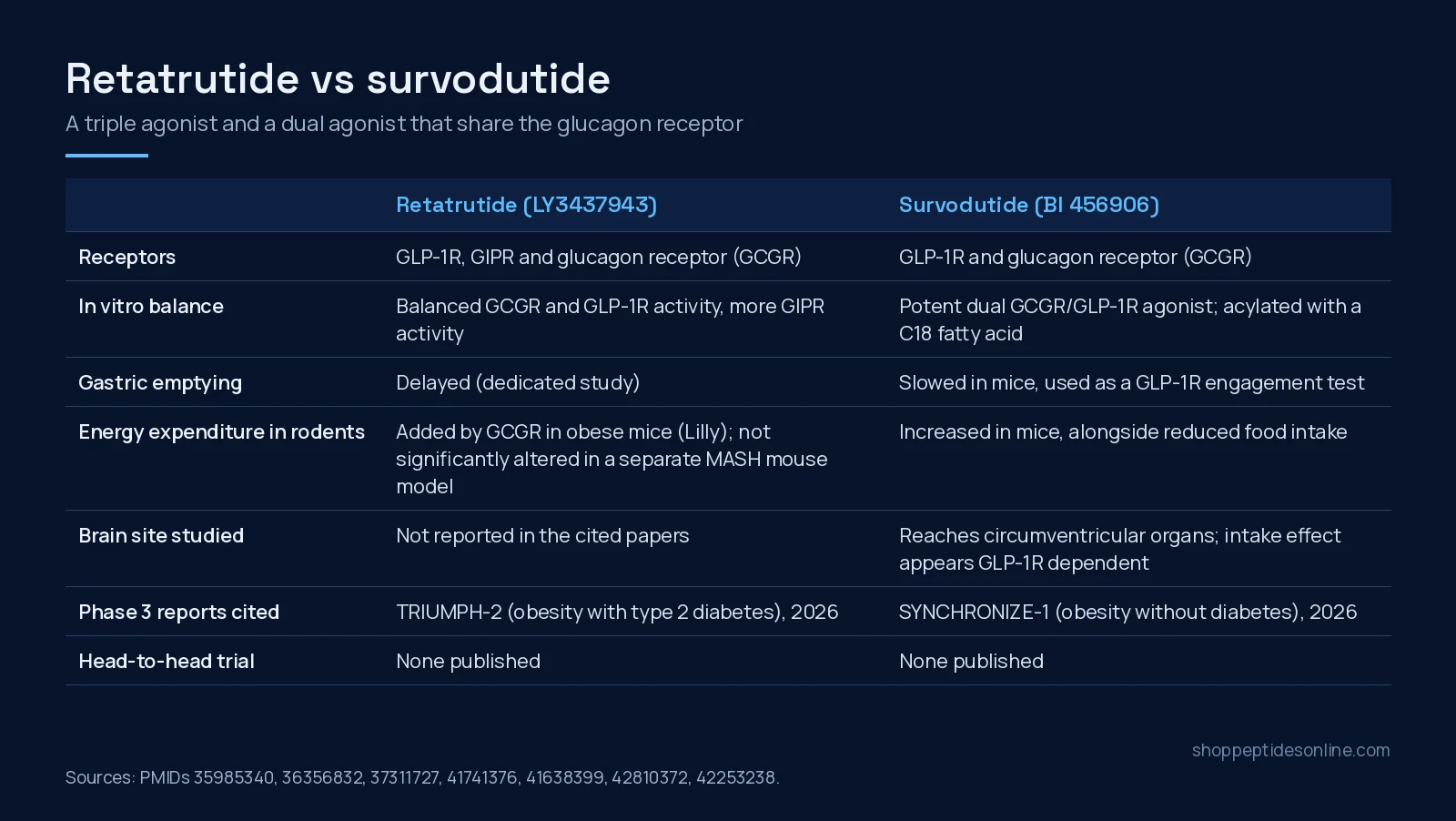 Comparison table of retatrutide and survodutide: receptor targets, in vitro profile, gastric emptying, rodent energy expenditure, brain site, phase 3 reports and head-to-head status