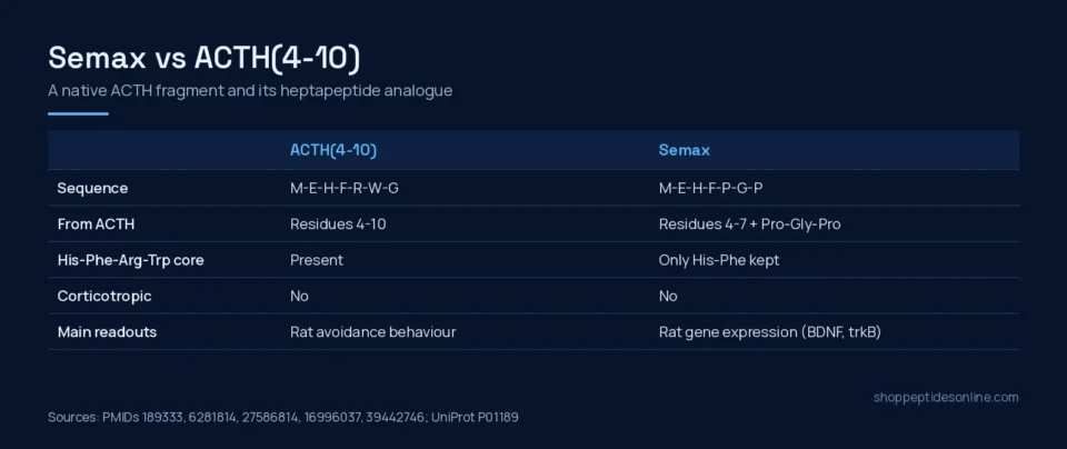 Semax vs ACTH(4–10): How the Heptapeptide Analogue Was Built