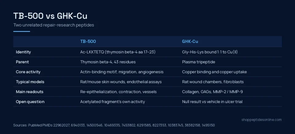 Comparison table of TB-500 and GHK-Cu: identity, parent molecule, core activity, typical models, main readouts and open questions