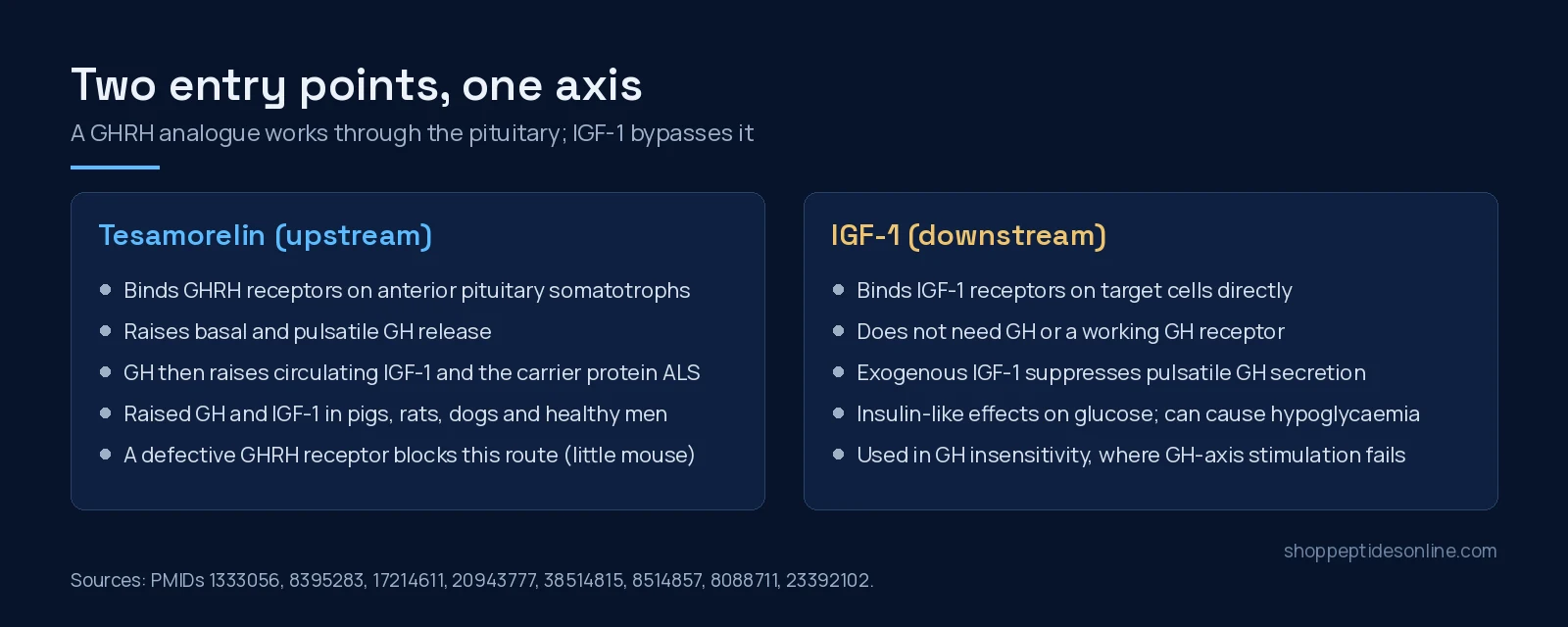 Tesamorelin vs IGF-1: Upstream Signal vs Downstream Effector 3 Two-panel diagram: tesamorelin acts on pituitary GHRH receptors to raise GH and then IGF-1; IGF-1 acts on its own receptor directly and suppresses GH