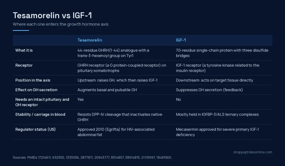 Tesamorelin vs IGF-1: Upstream Signal vs Downstream Effector