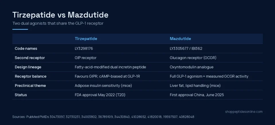 Comparison table of tirzepatide and mazdutide: code names, second receptor, design lineage, receptor balance, preclinical theme and regulatory status