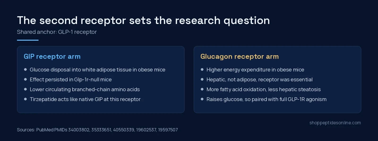 Tirzepatide vs Mazdutide: GIP or Glucagon as the Second Receptor 3 Two panels comparing GIP receptor and glucagon receptor findings from mouse studies of dual agonists